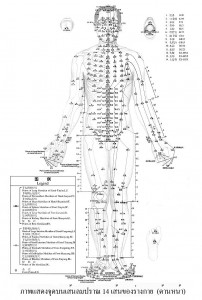 12-Front_Meridians